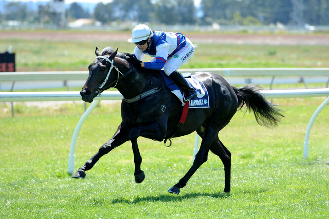 Group One performer What’s The Story who will begin his stud career in 2018 - Race Images