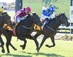 Mission accomplished for well bred filly