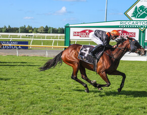 Pencarrow continue strong record at Riccarton