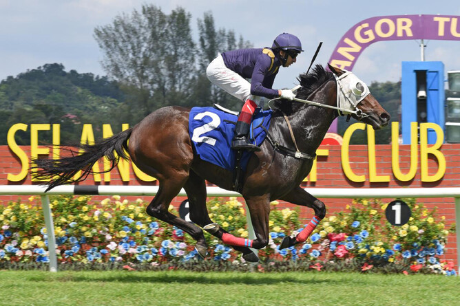Sir Ruby winning at Selangor Turf Club on Sunday.  - Photo: Selangor Turf Club