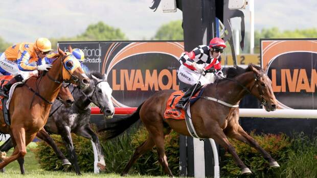 Wait A Sec wins the Livamol Classic speeding along the rail for Johnathan Parkes beating hot favourite Gingernuts - Pic. Trish Dunell