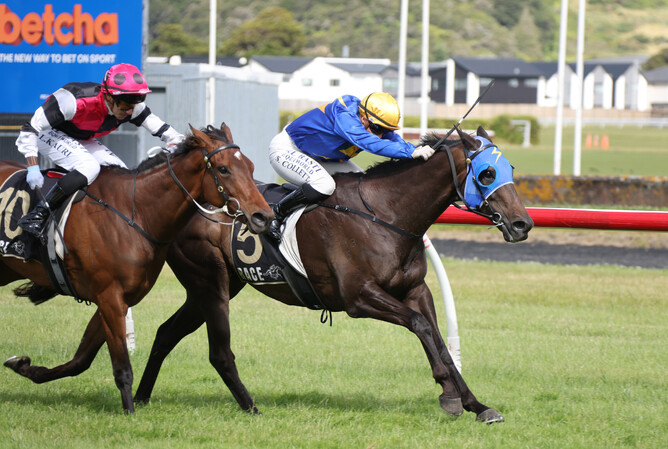 Sagunto winning the Gr.3 Humphries Construction Manawatu Cup (2300m) at Trentham on Saturday.  - Photo: Peter Rubery (Race Images)