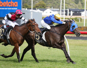 Sagunto wins third Manawatu Cup