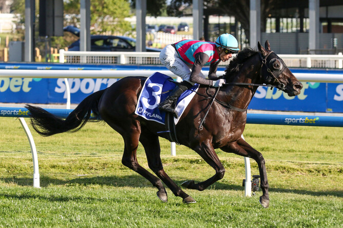 Antino’s rivals cannot even be sighted as he races away with the Gr.1 Toorak Handicap (1600m) at Caulfield on Saturday. - Photo: Bruno Cannatelli