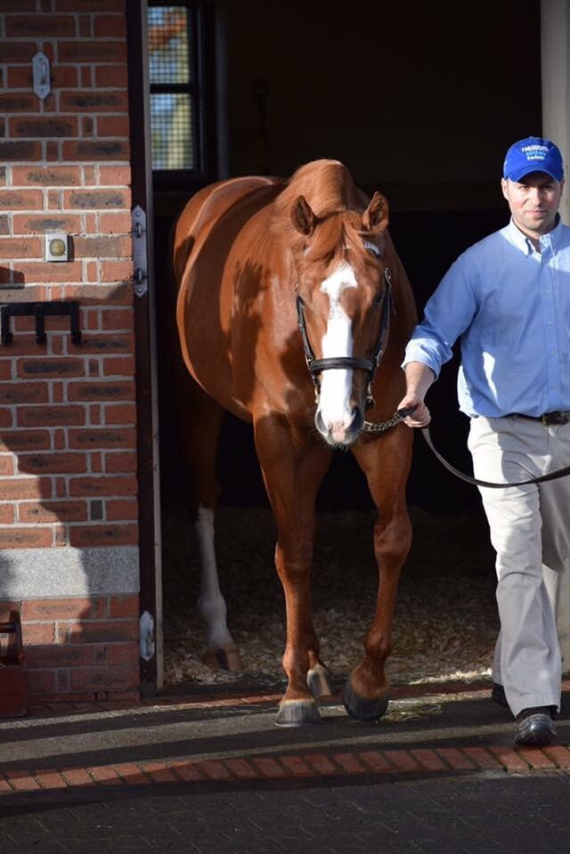 Dawn Approach at Darley (now Godolphin)