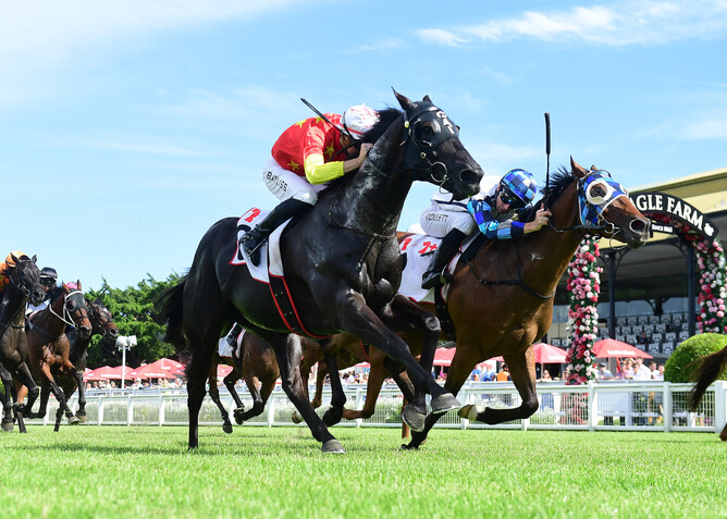 Four-year-old gelding Gold Bullion showed grit and determination, leading all the way to win the Listed Seven Members Mile at Eagle Farm on Saturday for trainers Gai Waterhouse and Adrian Bott. - Photo: Grant Peters