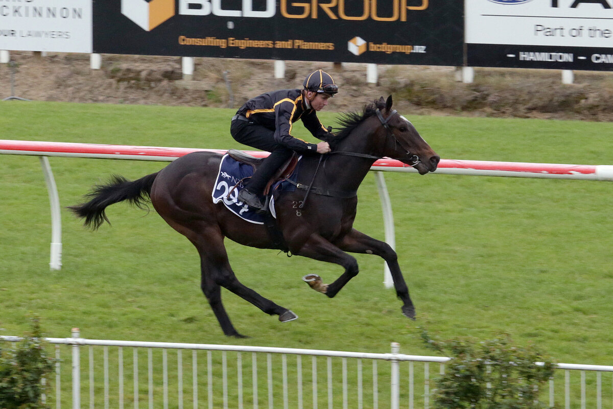 Entries open for Ready to Run Sale New Zealand Thoroughbred Breeders