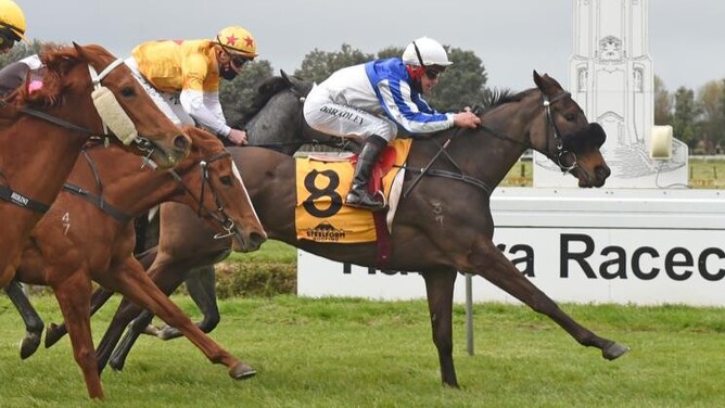 Talented mare Love For All may contest the Listed Rangitikei Gold Cup (1600m)  - Photo: Race Images – Peter Rubery