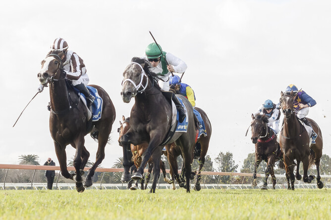 Matahga takes out the Listed 2YO David Peacock Oaklands Plate (1400m) at Morphettville.   - Photo: Atkins Photography