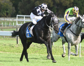 The Oaks Stud enjoy a successful Easter weekend