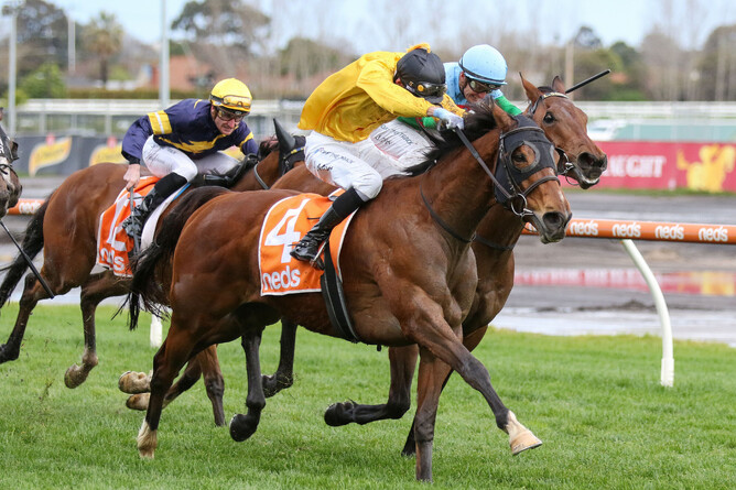 Callsign Mav (middle, gold colours) fights all the way to the line to take out the Gr.1 Sir Rupert Clarke Stakes (1400m) at Caulfield - Photo: Bruno Cannatelli