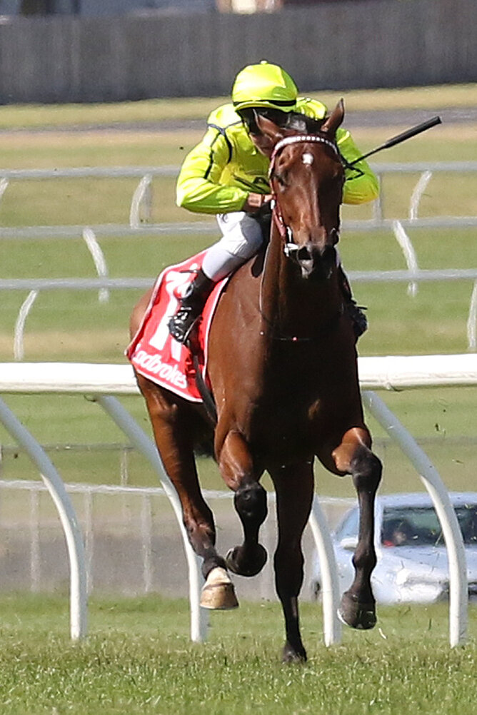 Yogi - pic ex Bruno Cannatelli