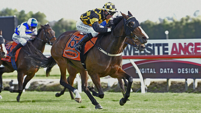 Snazzytavi winning the Gr.1 Livamol Classic (2040m) at Te Rapa on Saturday. - Photo: Kenton Wright, Race Images