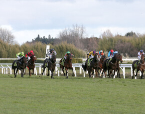 EXPLAINED: Racing Industry Bill