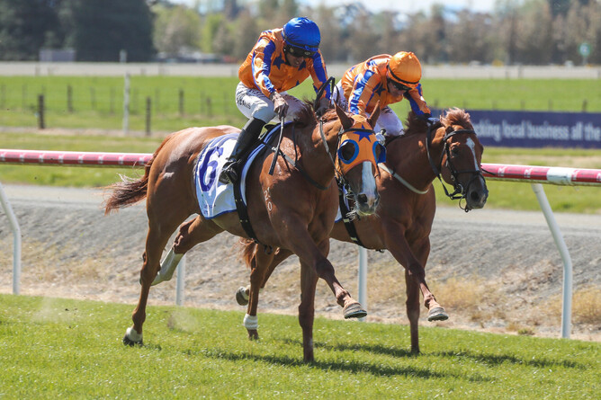 Star Of Justice winning the Gr.3 Barneswood Farm Stakes (1400m). - Photo: Race Images South