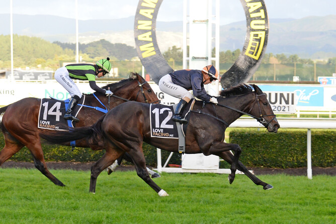 Promising mare Mai Tai adds to her burgeoning race record with victory in the Listed Manawatu ITM Anzac Mile (1600m) at Awapuni Photo Credit: Race Images – Peter Rubery
