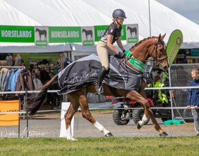 NZTBA sponsor new Ex-Factor award