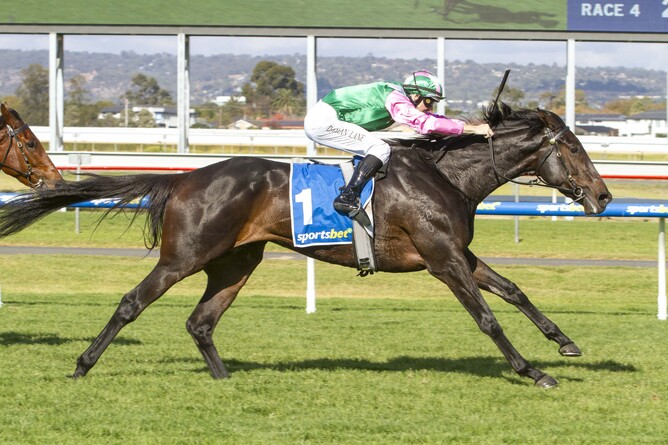Positivity powers to victory in the SA Fillies Classic (2500m) at Morphettville - Photo: Atkins Photography