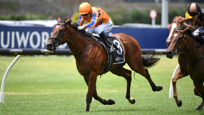 Kinnaird winning the Gr.2 Eclipse Stakes (1200m) at Ellerslie on New Year's Day. - Photo: Kenton Wright (Race Images)