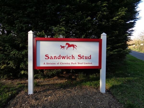 Cheveley Park's yearling division, Sandwich Stud entry