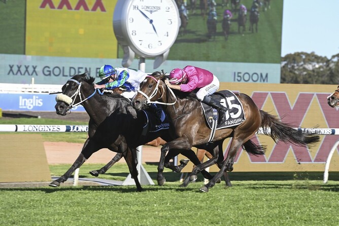 I Wish I Win (nose band) holds out Fangirl to claim the A$10milion Golden Eagle (1500m) at Rosehill - Photo: bradleyphotos.com.au