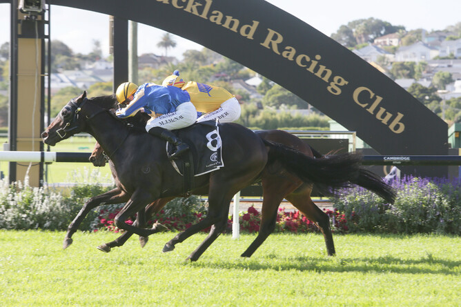 Lady Maroal gets the better of Atullibigeal to win the Listed Staphanos by Deep Impact Champagne Stakes (1600m) Photo Credit: Trish Dunell