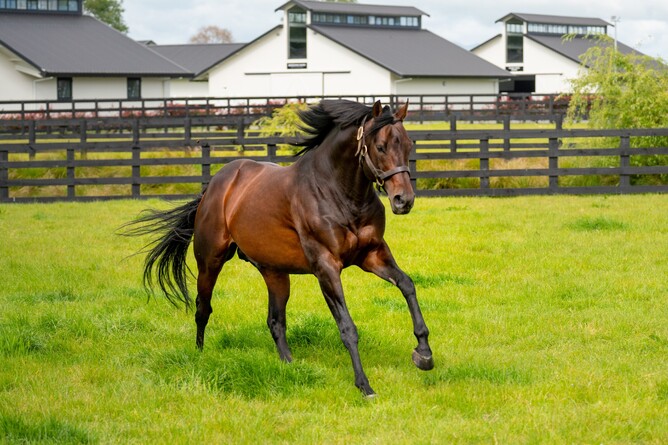 Almanzor - Photo:  Supplied