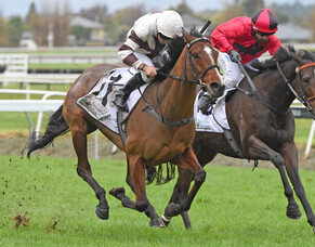 First Stakes winner for Kay Hood and partners