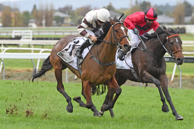 Aide Memoire (outside) defeats Anniesstar in the Listed James Bull Rangitikei Gold Cup at Awapuni - Race Images PN