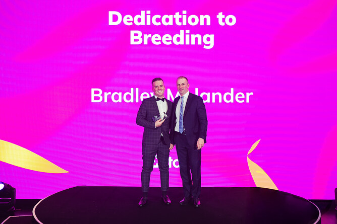 Brad Molander receiving his Dedication to Breeding Excellence Award - Photo: Supplied