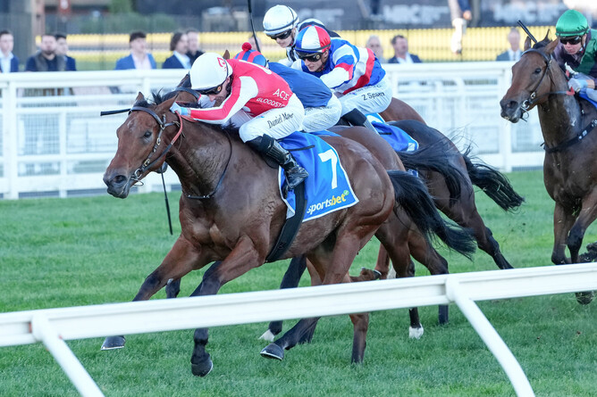 Niance winning the Bel Esprit Stakes at Caulfield.  - Photo: George Sal (Racing Photos)