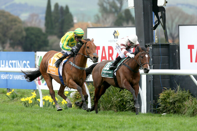 Close Up downs Aide Memoire (rail) - Pic ex Trish Dunell