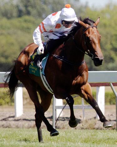 Photo:  NZTM website