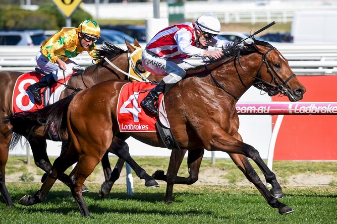 Waikato Stud have secured a majority share of Gr.1 Caulfield Guineas (1600m) winner Super Seth. - Supplied