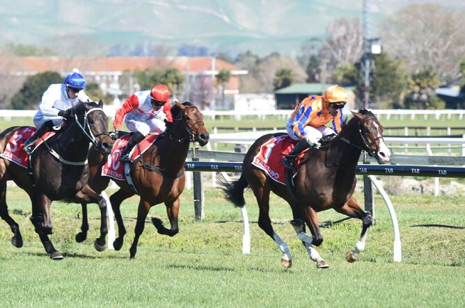 Tokyo Tycoon winning at Hastings on Saturday. - Photo: Peter Rubery, Race Images