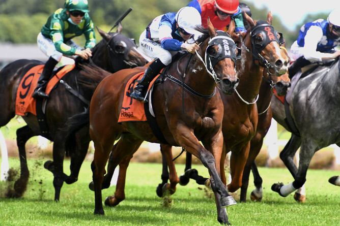 Raposa Rapida proves too good in the Listed Legacy Lodge Sprint (1200m) at Te Rapa Photo Credit: Race Images – Kenton Wright