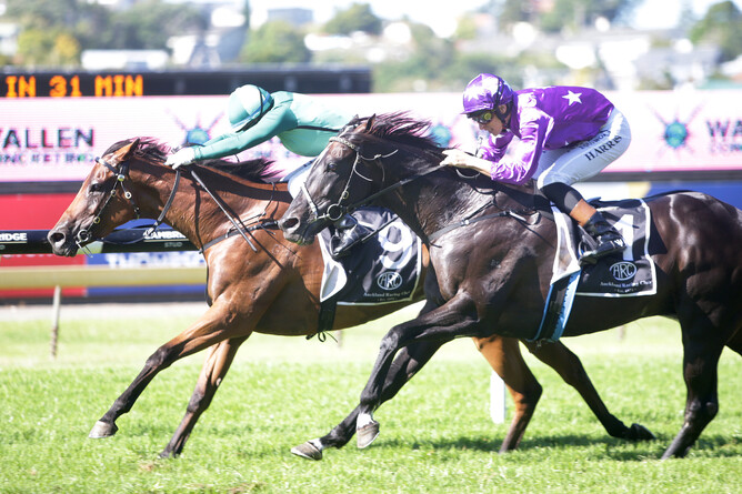Robusto (inner) out-finishes Sound to take out the Gr.2 Wallen Concreting Avondale Cup (2400m) Photo Credit: Trish Dunell