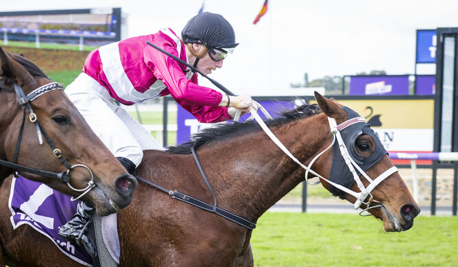 Arcadia Park captures Aquanita Stakes at Bunbury.  - Photo: Western Racepix