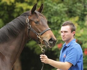 Robert&#039;s Blog &ndash; March 2014