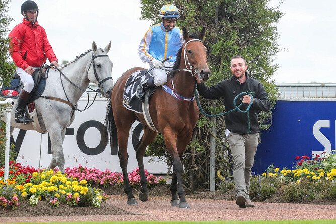 Robert Dennis leads back a victorious Out Of The Park, who has subsequently transferred to Victorian trainer Henry Dwyer. Photo: Race Images South