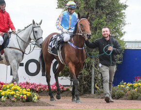 Southern Legacy continues as Dennis stable builds