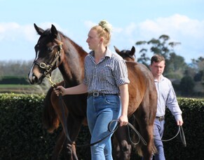 Irish National Stud Scholarship recipients announced