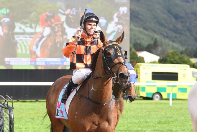 Town Cryer has been retired from racing.   - Photo: Peter Rubery (Race Images Palmerston North)