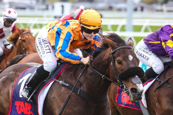 Group One performer Perfect Scenario has been retired. - Photo: Race Images South