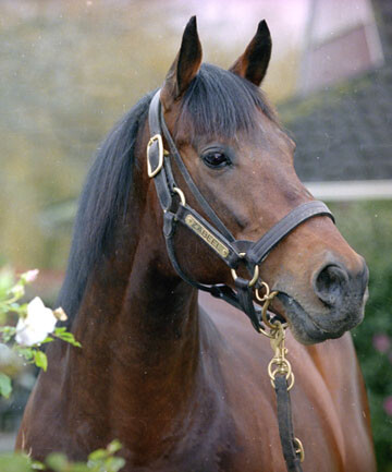 The legendary Zabeel