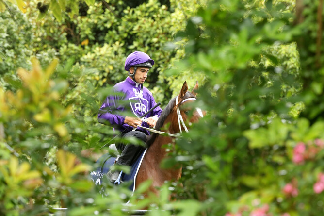 Riverrock Farm principal Chad Ormsby. - Photo: Trish Dunell