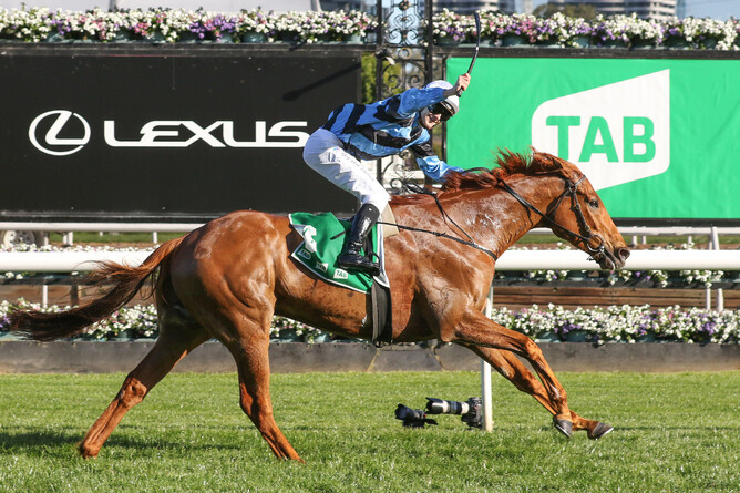 Smokin' Romans winning Turnbull Stakes Group 1 at Flemington - Photo:  Bruno Cannatelli