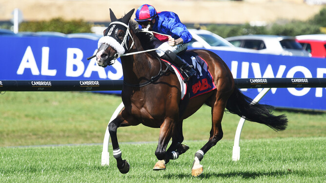 El Vencedor adds another Group One win to his career-best run of form - Photo: Kenton Wright (Race Images)