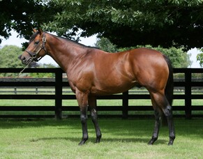 Charm Spirit goes back-to-back