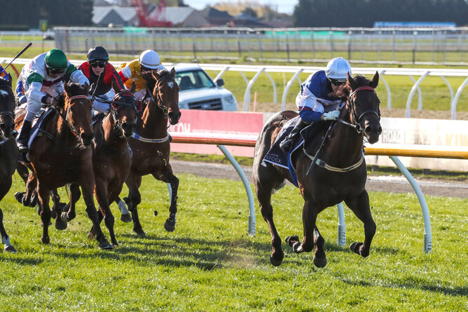 Art De Triomphe bursts clear for rider Kylie Williams as they combine to take out the Listed New Zealand Bloodstock Canterbury Belle Stakes (1200m) at Riccarton Photo Credit: Race Images – Peter Rubery